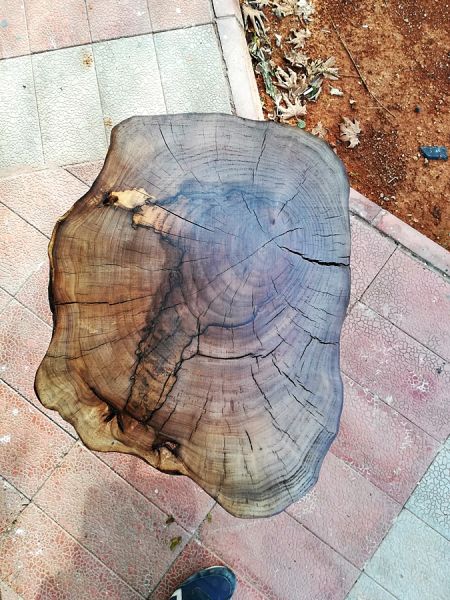 Ceviz Dilimi Orta Sehpa - 60x70 cm - QF02-18 - 2