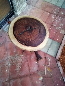 Doğal Ağaç Dalı Ayaklı Dekoratif Masa - BF01-02 - 3